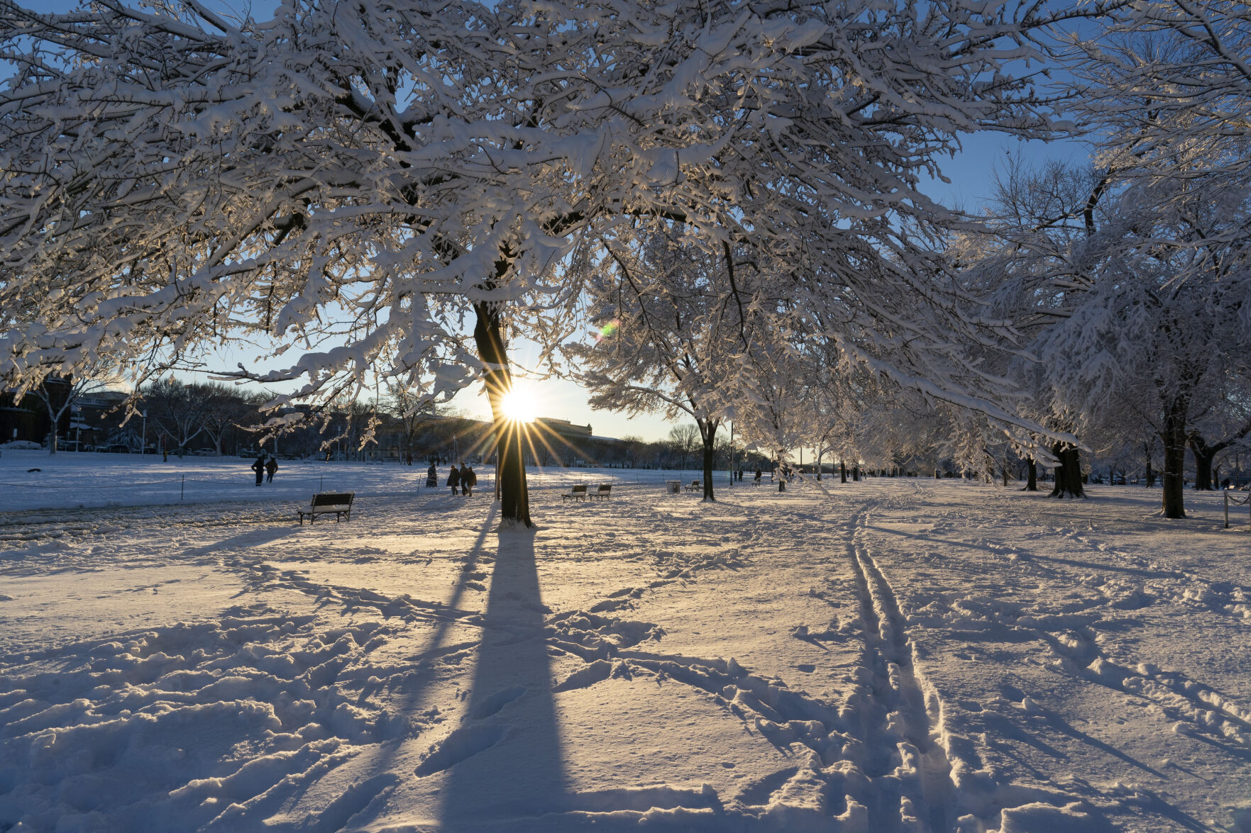 Winter Weather Photo Gallery
